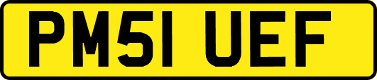 PM51UEF