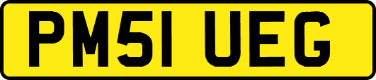 PM51UEG