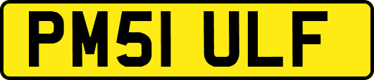 PM51ULF