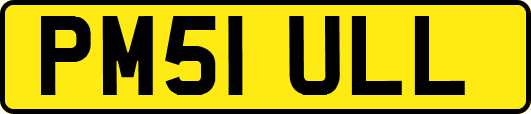 PM51ULL