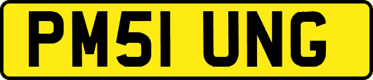 PM51UNG