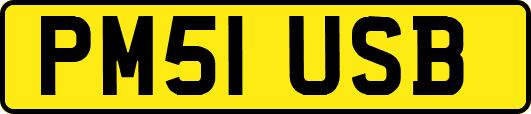 PM51USB