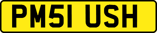 PM51USH