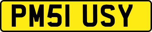 PM51USY