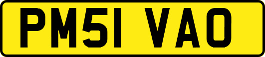 PM51VAO