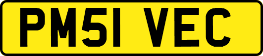 PM51VEC