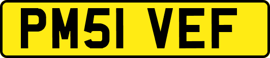 PM51VEF