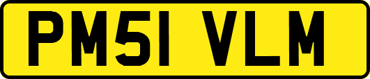 PM51VLM