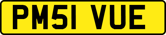 PM51VUE