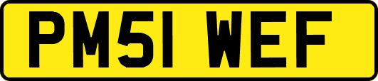PM51WEF