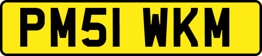 PM51WKM