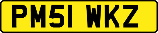 PM51WKZ