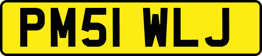 PM51WLJ
