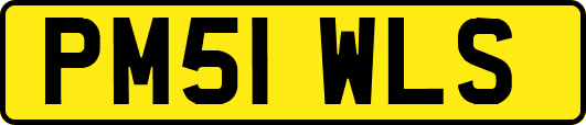 PM51WLS