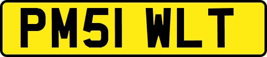 PM51WLT