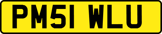 PM51WLU