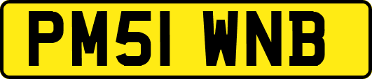 PM51WNB