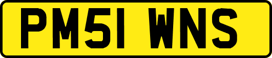 PM51WNS