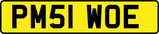 PM51WOE