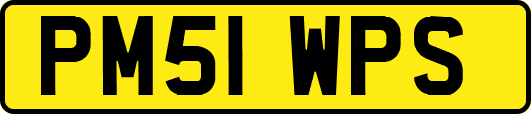 PM51WPS