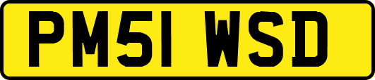 PM51WSD