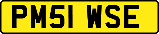 PM51WSE