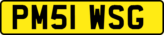 PM51WSG