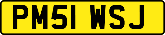 PM51WSJ