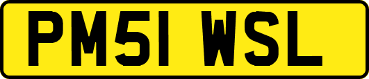 PM51WSL