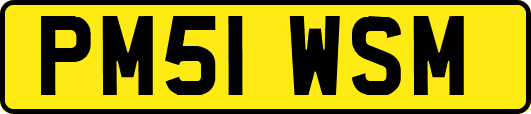 PM51WSM