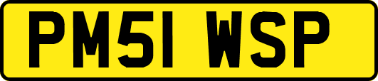 PM51WSP