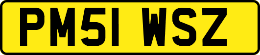 PM51WSZ