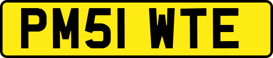 PM51WTE