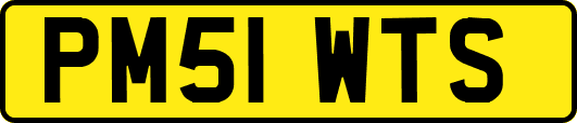 PM51WTS