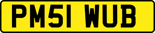 PM51WUB