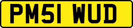 PM51WUD