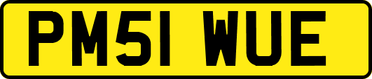 PM51WUE