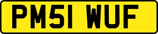 PM51WUF
