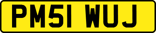 PM51WUJ