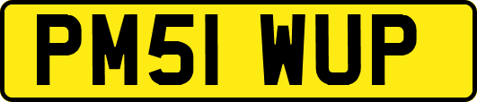 PM51WUP