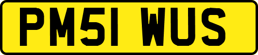 PM51WUS