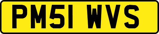 PM51WVS