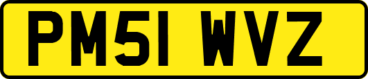 PM51WVZ