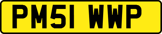 PM51WWP
