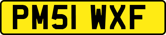 PM51WXF