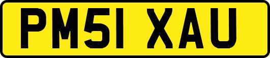 PM51XAU