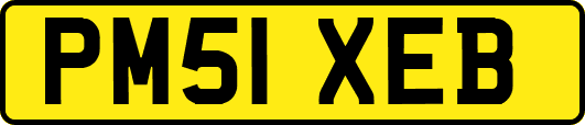 PM51XEB