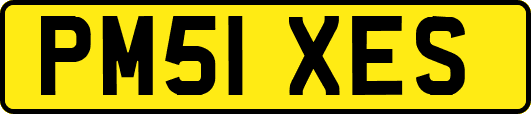 PM51XES