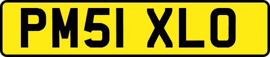 PM51XLO