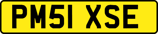 PM51XSE
